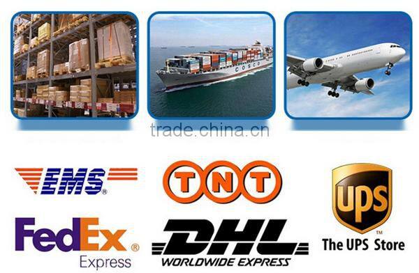 Target audited supplier Collapsible Compact Pet Bowl Dog Cat Travel Dish Silicone pet bowl