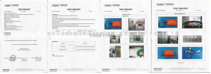 Fireproof Waterproof Car Black Box Recorder with HDD Mobile DVR