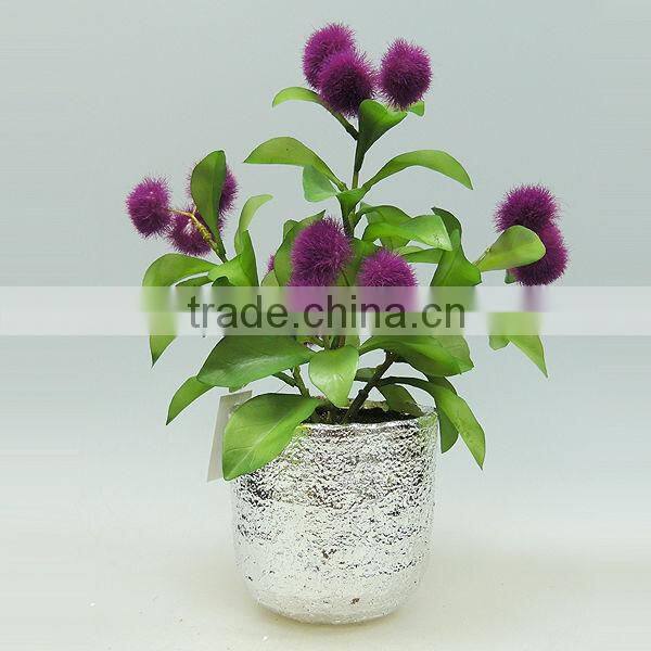 High quality cement potted plant for home decorating