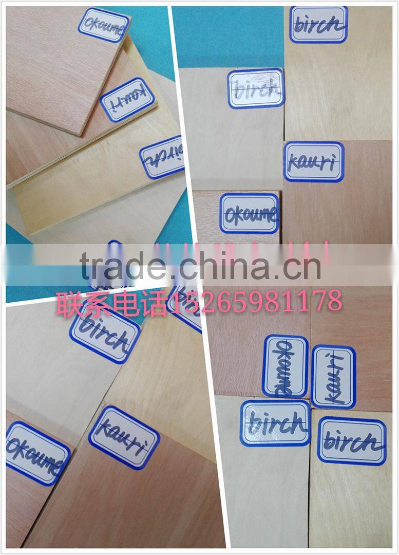 AAA grade natural fancy plywood wood door design