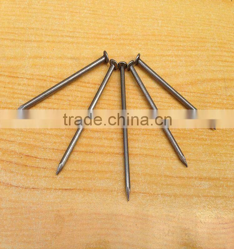 bright common nails,polish common iron nail