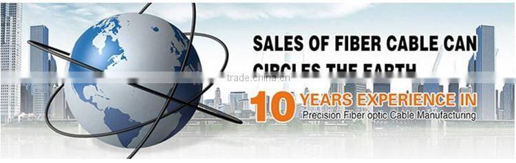 Supply high quality Armored 48 core single mode submarine direct buried cable