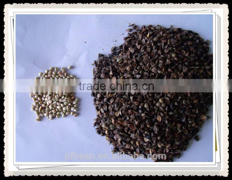 Buckwheat Market Price
