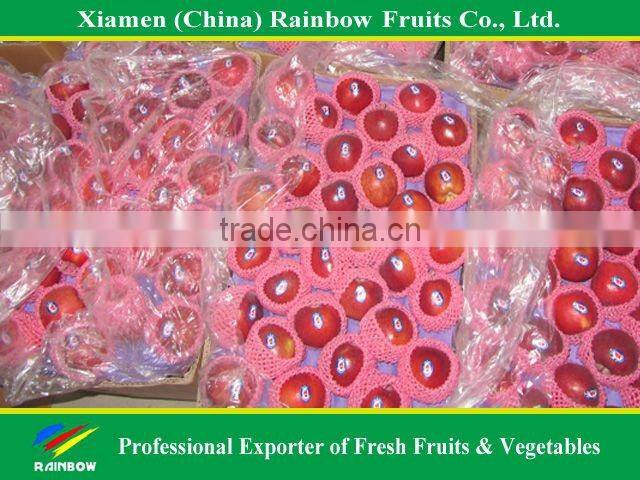 Red delicious Apple with good taste