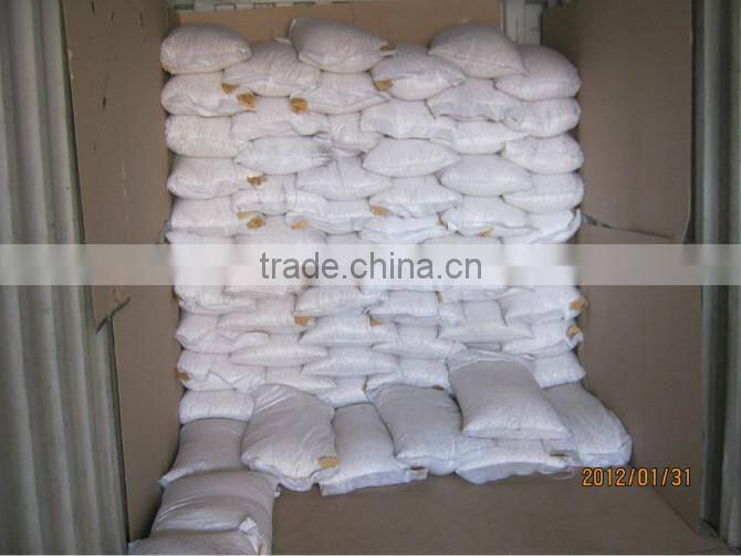 Snow White Pumpkin Seeds