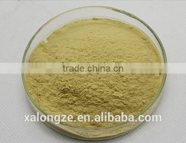 Pure and Natural Instant Broccoli powder with Sulforaphen 0.5%, 2%, 10%, 20% for Food and Beverage