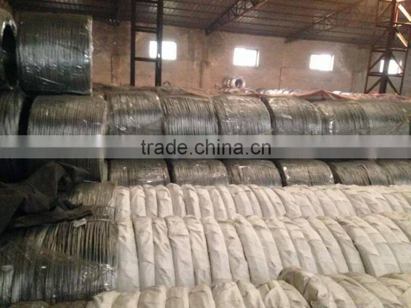 Roll Galvanized wire,GI wire