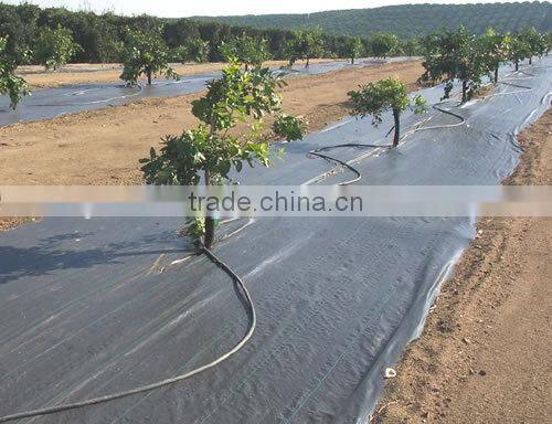 anti-uv weed mat /ground cover for agriculture
