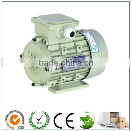 Y2 Series aluminum electric motor for food machine