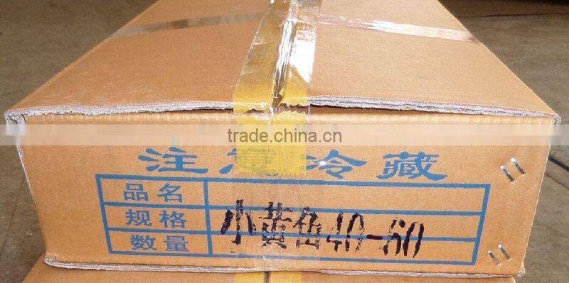 Frozen Yellow Croaker 40/60 g/pc