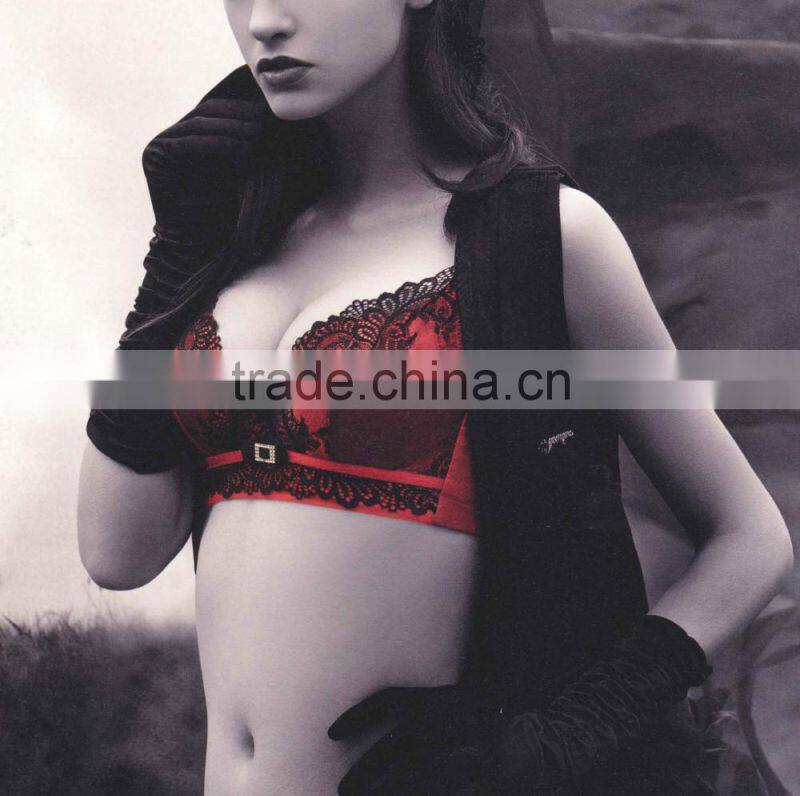 sexy bra and panty woman underwear set