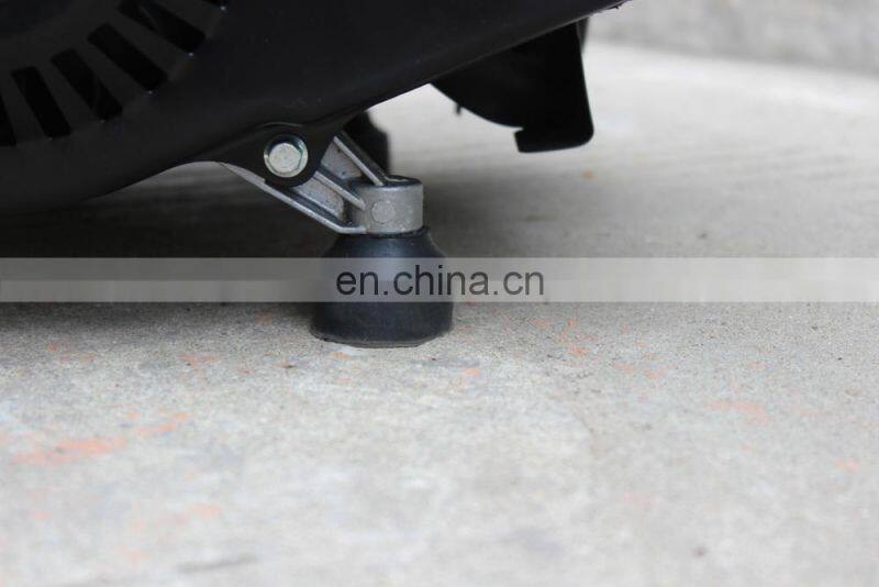 BISON(CHINA)BS950A 650w Gasoline Generator 950