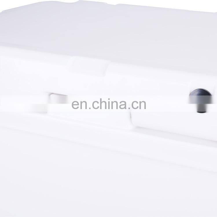 gint plastic cooling small letter fishing hiking juice cans beer wine vaccine rotomolded coolers cooler box for camping cool box