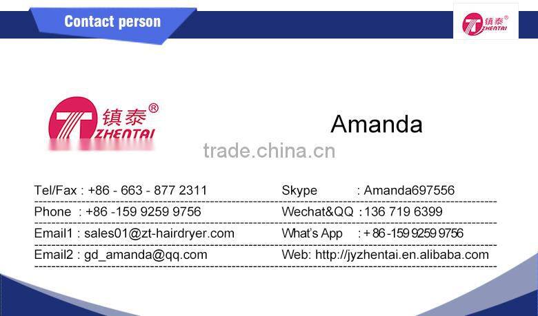 Foldable Hair Dryer Travel 220V Hair Dryer pass CB CE Test