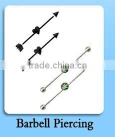 2016 Ear Gauges Expander Stretching Kits Tunnel Plug In Stainless Steel