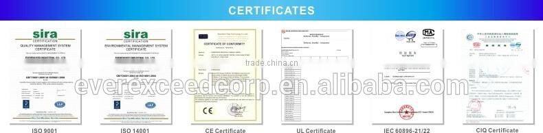 EverExceed rechargeable lead acid auto battery, vented type battery 65D26L