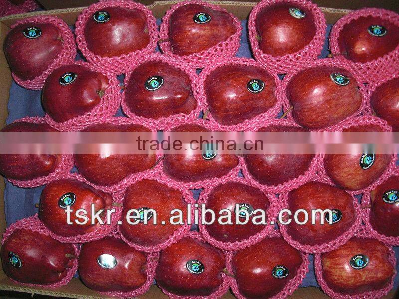 2013fresh appls from china