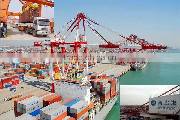 TP-S15 China Popular CE & ISO soya bean dryer