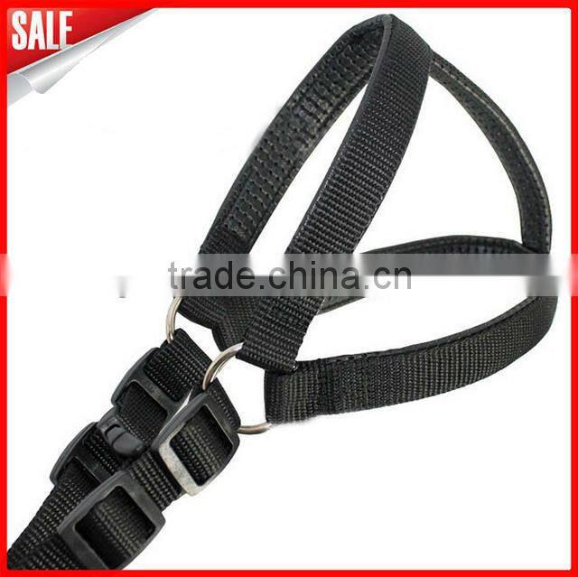 comfortable and humanity pet lead/pet collar