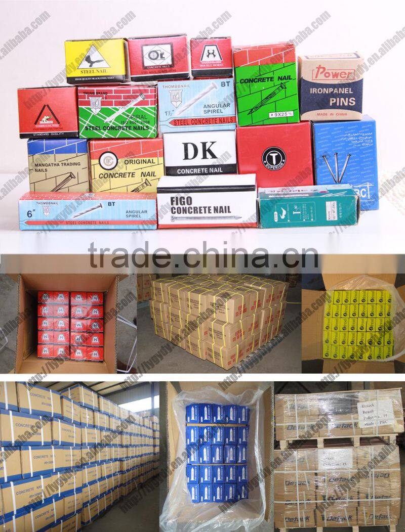 pure iron nails/common nail/large head nail