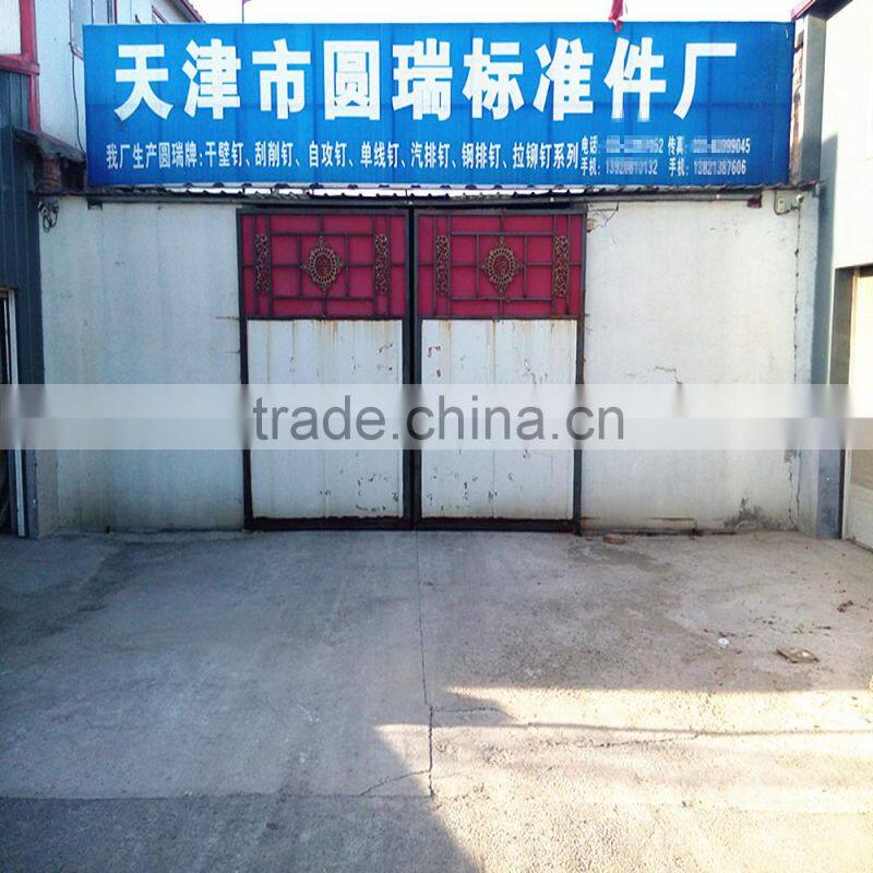 Hexangular head self drilling screw