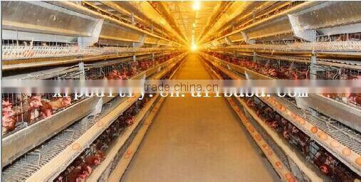poultry cage for chicken house