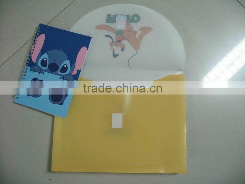 a4 size pp file folder