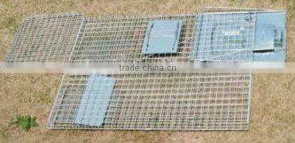 Folding , collapsible trap