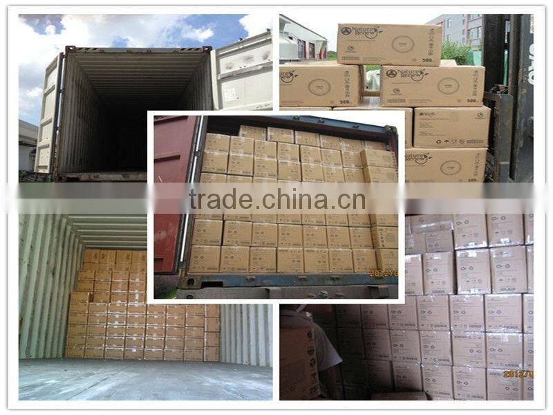 Biodegradable Compostable bento box