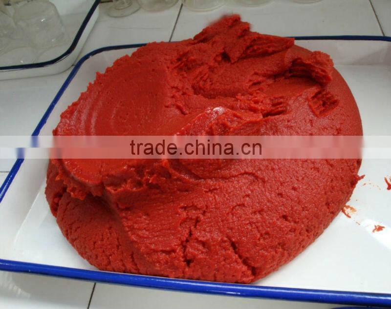 Canned Tomato Paste in Can