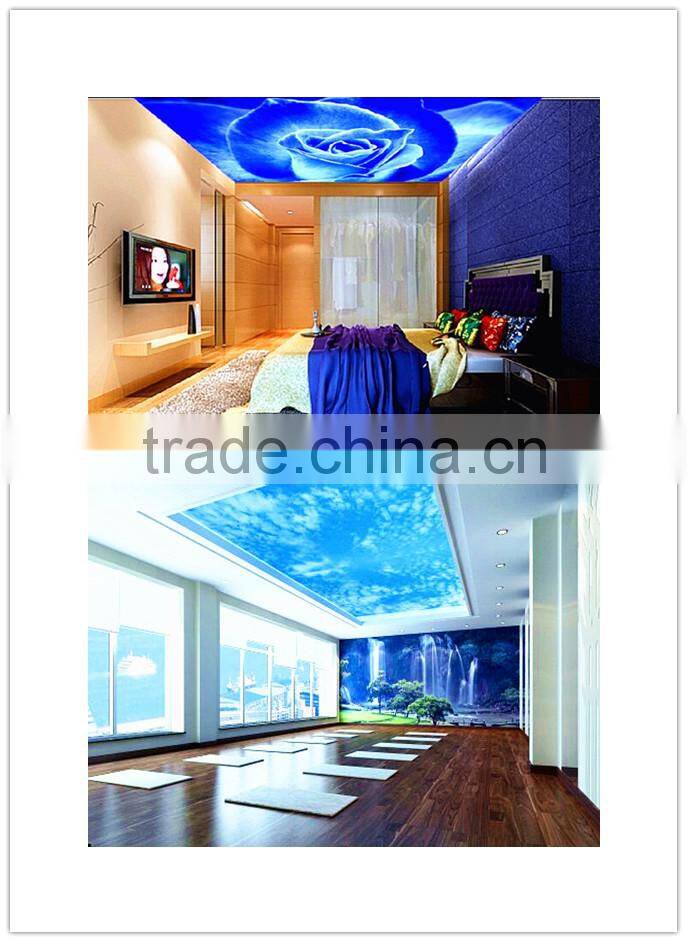 Digital Camera Printer A-starjet 7703L