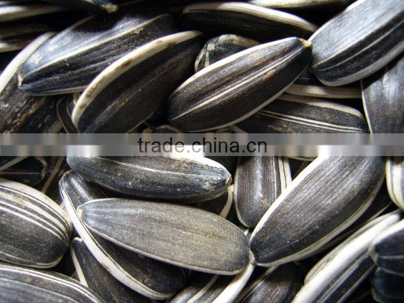 Sunflower seeds 5009