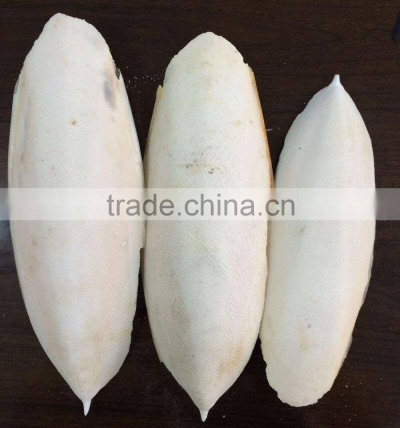 hai piao xiao dry cuttlefish bone for sales
