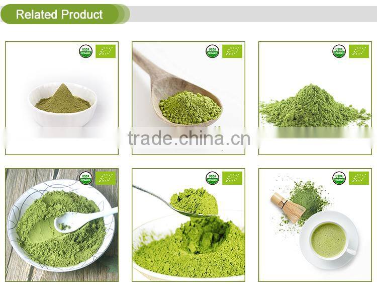 Oem Packing Organic Plant Matcha Powder Green Tea Extract Powder