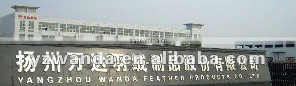 fashion outdoor goose feather sleeping bag