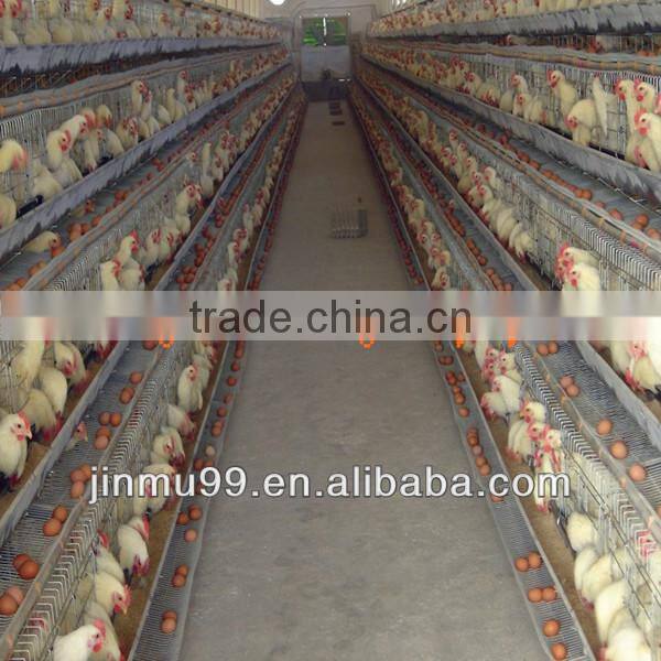 chicken breeding cage