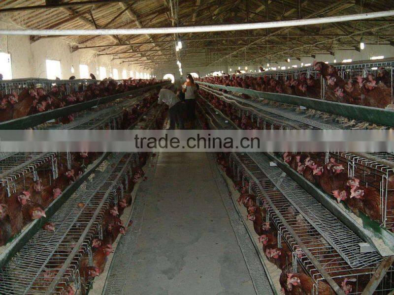 The 3 layer/4layers/5layer Chicken Cage