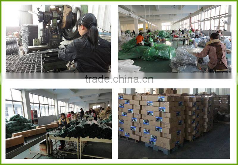 Commercial Cold Frame