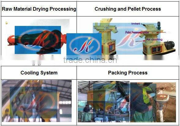 1T/Hr Ring Die Biomass Pellet Mill/Wodd Pellet Making line