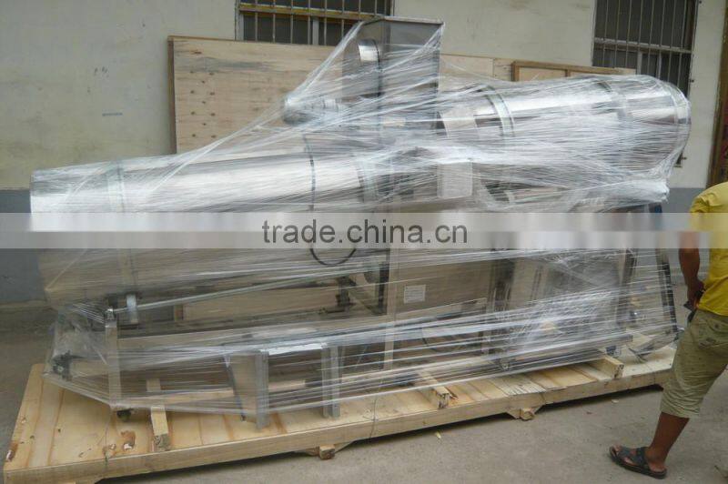 potato chips flavoring machine