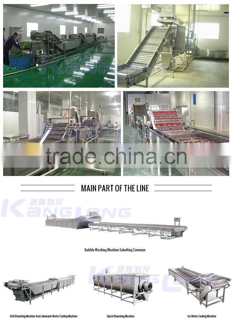 2000Kg/H frozen production line