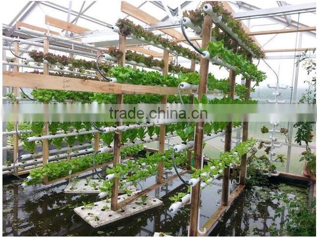 2016 Hot sale large hydroponic greenhouse