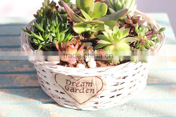 Creative home design handmade white wicker basket no handles
