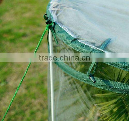 Triangle Small Pop Up Agricultural Greenhouse For Vegetable
