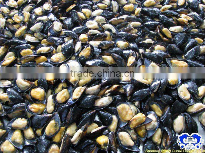 Frozen cooked half shell mussel