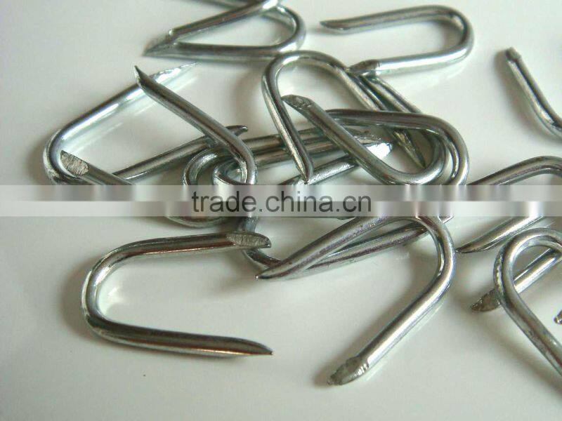 fence staples U nails(factory)