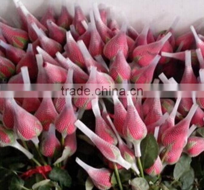 Rose Flower Protective bud Netting