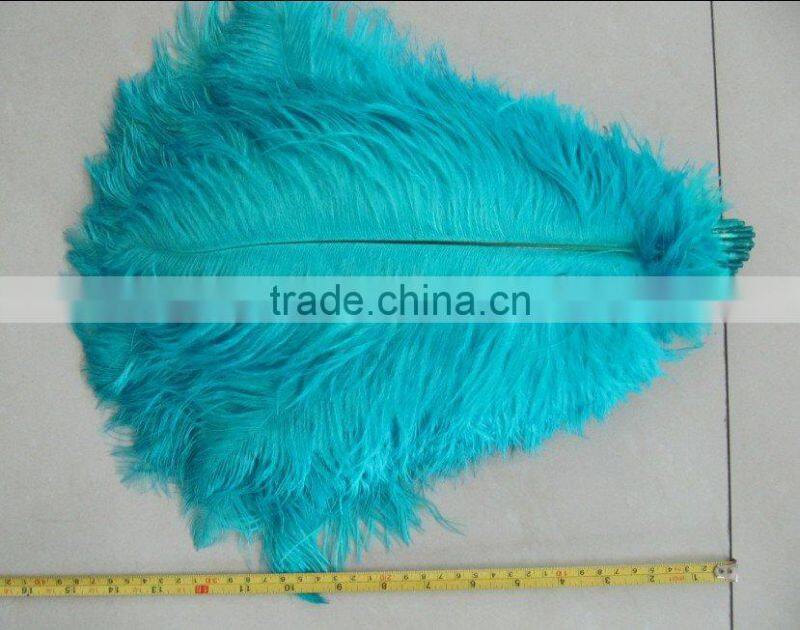 Carnival decorative large white ostrich feathers