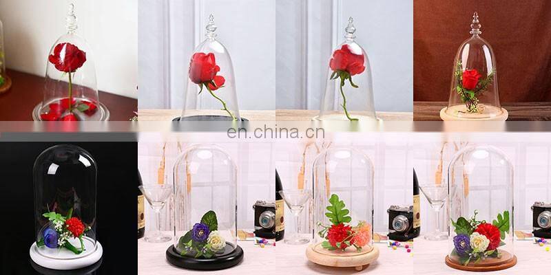 Borosilicate Material Top Quality Glass Cover Clear Glass Dome Jar