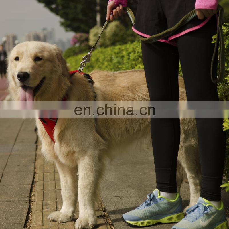 dog training bite suit